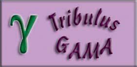 tribulus_gama