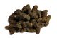Karakteristični koren srčenjaka (Polygonum bistorta)