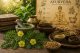 Tradicionalna upotreba biljke Tribulus terrestris u fitoterapiji