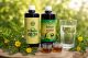 Tribulus Alpha i Tribulus Delta vodeni ekstrakti Tribulus terrestrisa bez alkohola