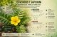 Flavonoidi i saponini u sastavu biljke Tribulus terrestris