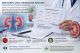 Kreatinin, urea i mokraćna kiselina povezani sa funkcijom bubrega