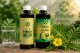 Tribulus Alpha i Tribulus Delta – vodeni ekstrakti Tribulus terrestrisa bez alkohola