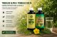 Tribulus Alpha i Tribulus Delta – vodeni ekstrakti Tribulus terrestrisa bez alkohola