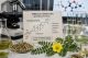 Steroidni saponini i druga bioaktivna jedinjenja biljke Tribulus terrestris