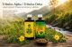 Tribulus Alpha i Tribulus Delta – vodeni ekstrakti Tribulus terrestrisa