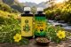 Tribulus Alpha i Tribulus Delta – vodeni ekstrakti Tribulus terrestrisa bez alkohola
