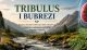 Tribulus terrestris i zdravlje bubrega – filtracija krvi i funkcija urinarnog sistema