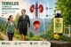 Tribulus Alpha i Tribulus Delta – vodeni ekstrakti Tribulus terrestrisa bez alkohola